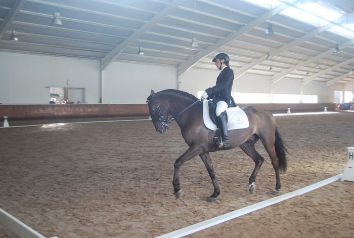 Resultados de la 1ª Fase de Doma Clásica, Doma Adaptada y Juegos Deportivos 2018